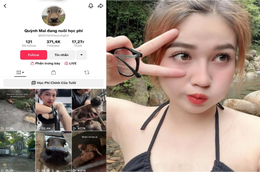 cham-chi-tap-gym-lam-tinh-cho-khoe-manh